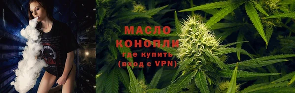индика Елабуга