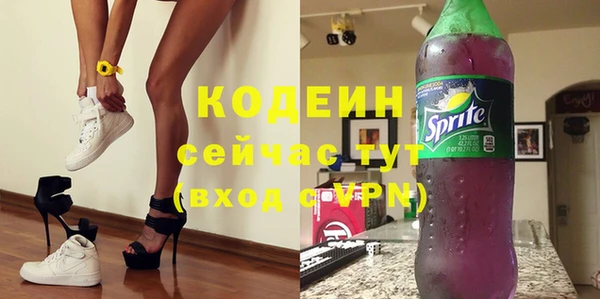 индика Елабуга