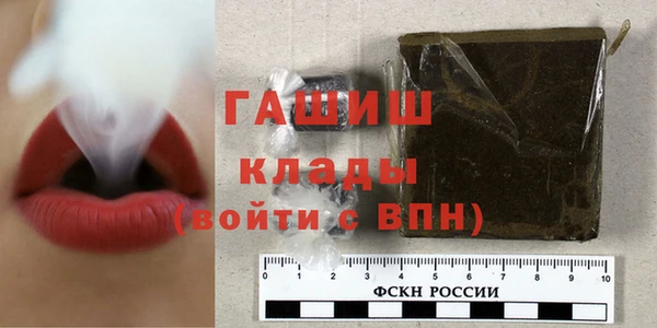 индика Елабуга