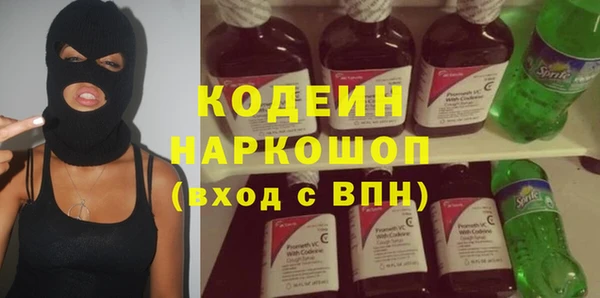 индика Елабуга
