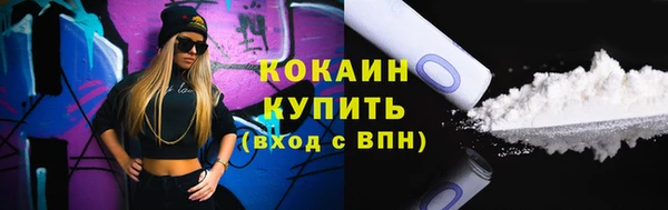 индика Елабуга