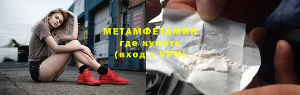индика Елабуга