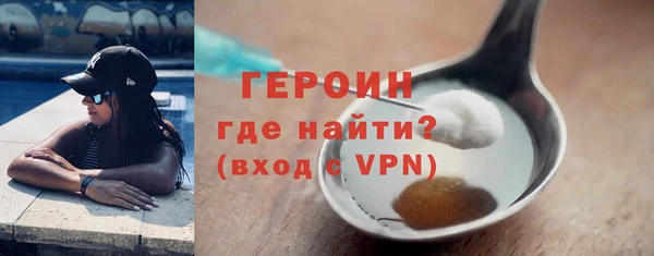индика Елабуга