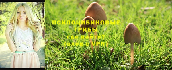 марки lsd Елизово