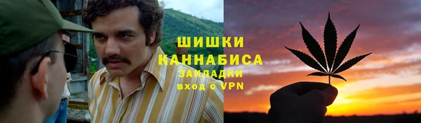 индика Елабуга