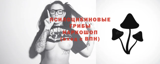 индика Елабуга