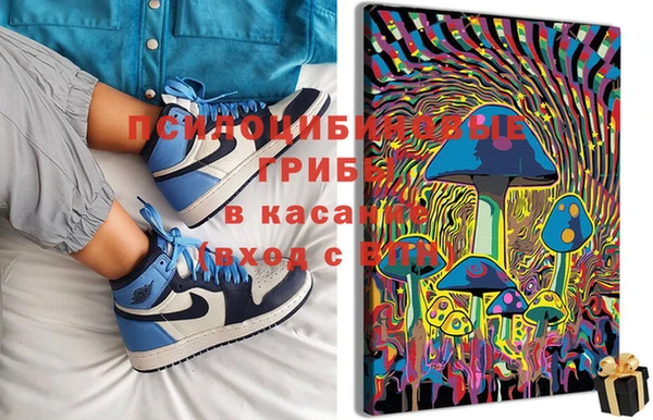 индика Елабуга