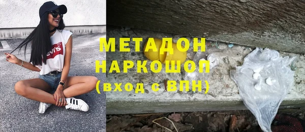 индика Елабуга