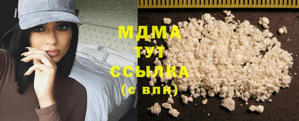индика Елабуга