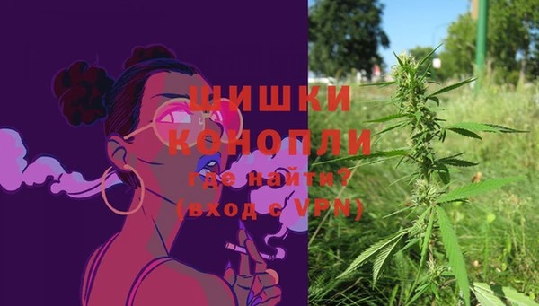 индика Елабуга