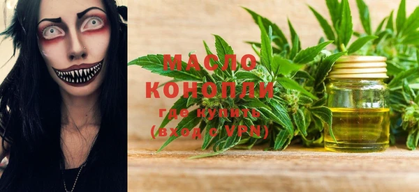 индика Елабуга