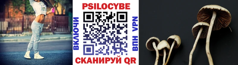 Псилоцибиновые грибы ЛСД Искитим