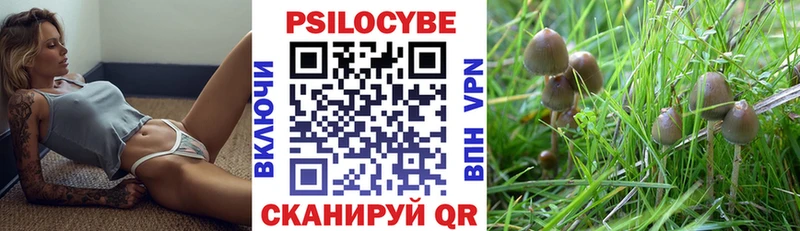 Купить где  Искитим  Псилоцибиновые грибы Cubensis 